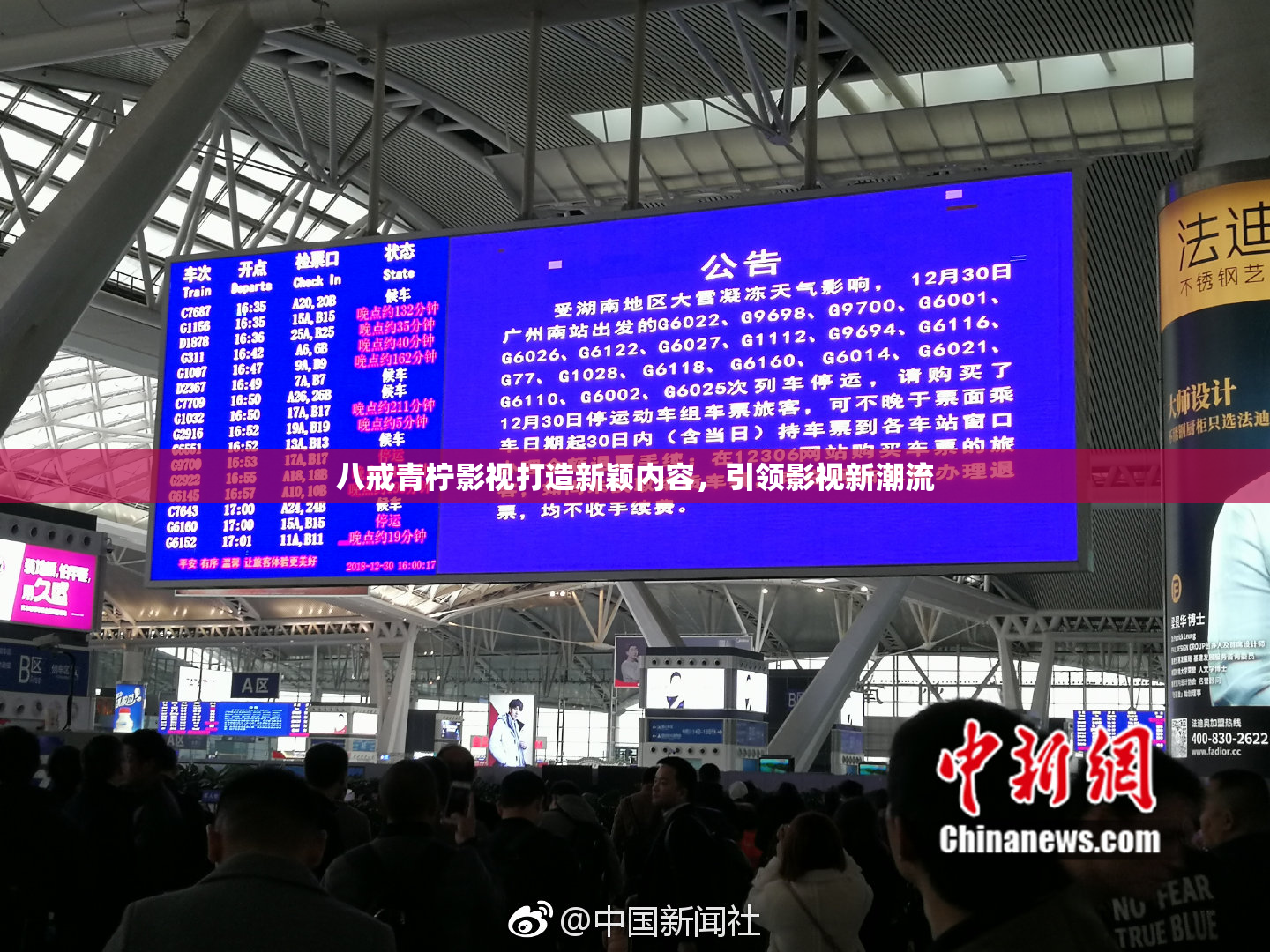 八戒青柠影视打造新颖内容，引领影视新潮流