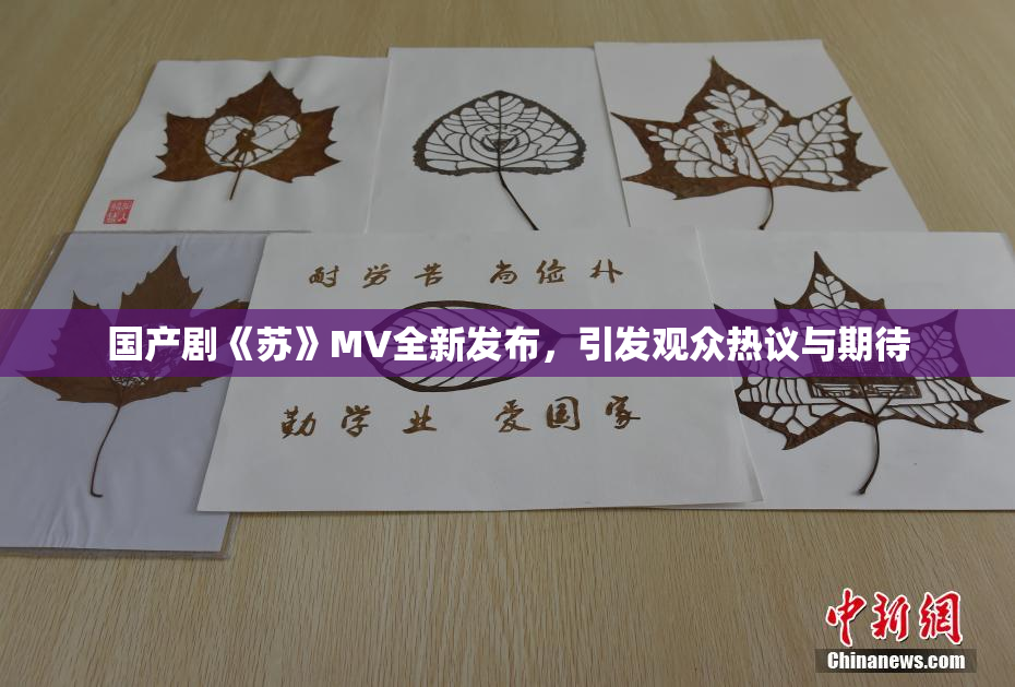 国产剧《苏》MV全新发布，引发观众热议与期待