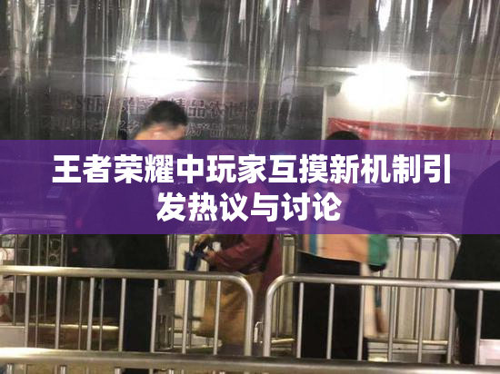 王者荣耀中玩家互摸新机制引发热议与讨论
