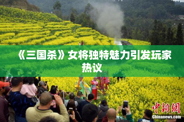 《三国杀》女将独特魅力引发玩家热议