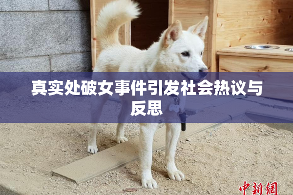 真实处破女事件引发社会热议与反思