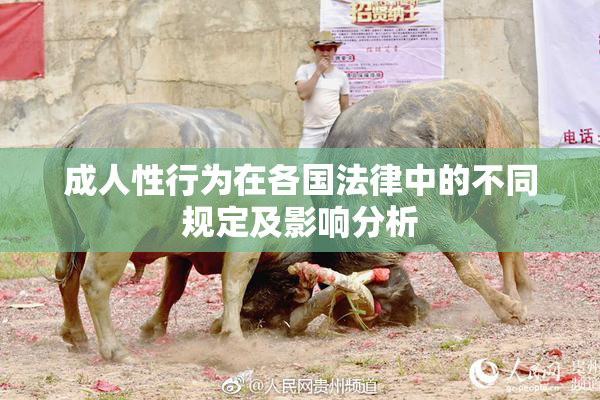 成人性行为在各国法律中的不同规定及影响分析