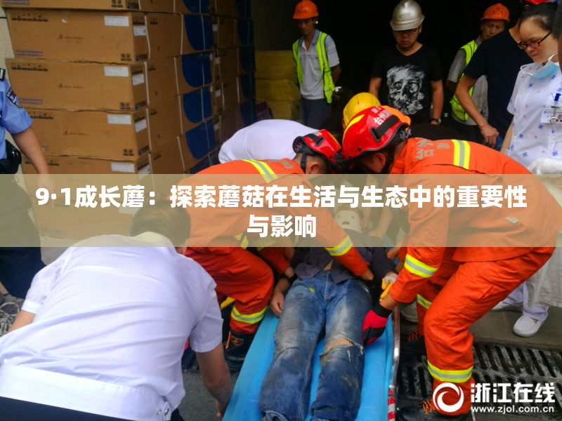 9·1成长蘑：探索蘑菇在生活与生态中的重要性与影响