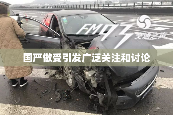 国严做受引发广泛关注和讨论