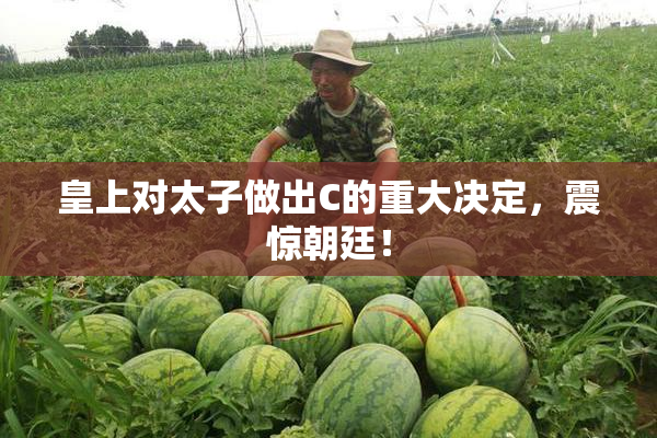皇上对太子做出C的重大决定，震惊朝廷！
