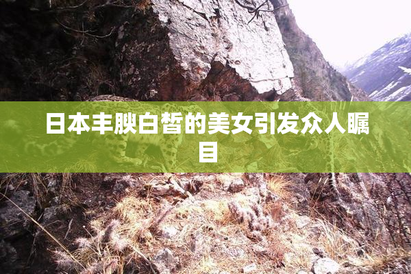 日本丰腴白皙的美女引发众人瞩目