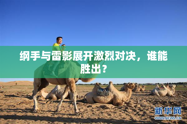 纲手与雷影展开激烈对决，谁能胜出？