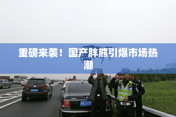 重磅来袭！国产胖熊引爆市场热潮