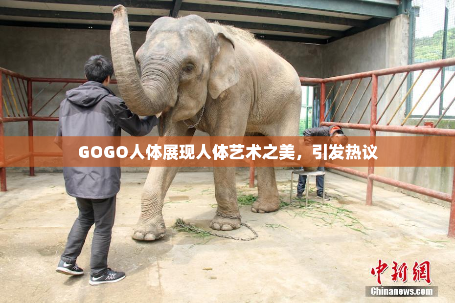 GOGO人体展现人体艺术之美，引发热议
