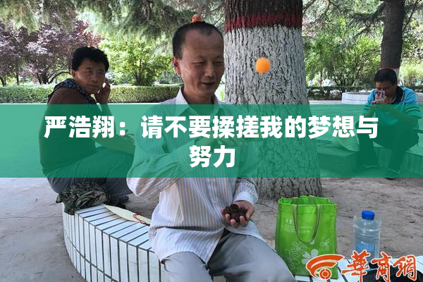 严浩翔：请不要揉搓我的梦想与努力