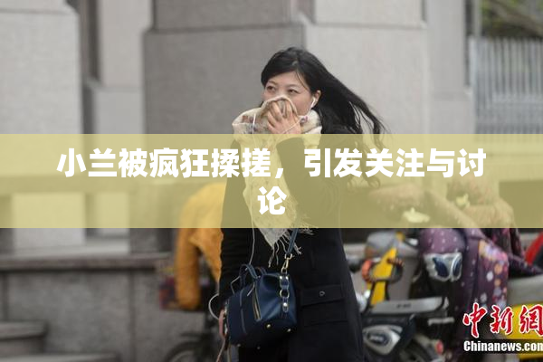 小兰被疯狂揉搓，引发关注与讨论