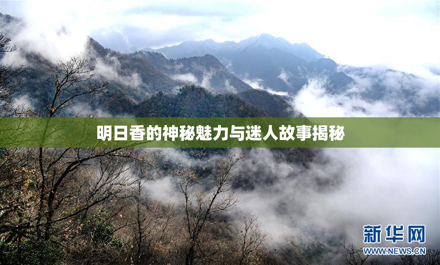 明日香的神秘魅力与迷人故事揭秘