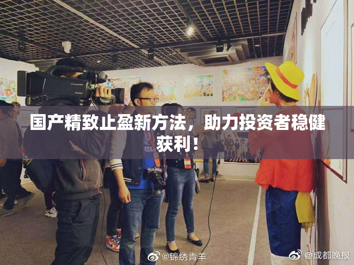 国产精致止盈新方法，助力投资者稳健获利！