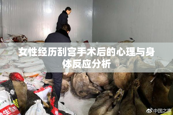 女性经历刮宫手术后的心理与身体反应分析