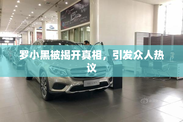 罗小黑被揭开真相，引发众人热议