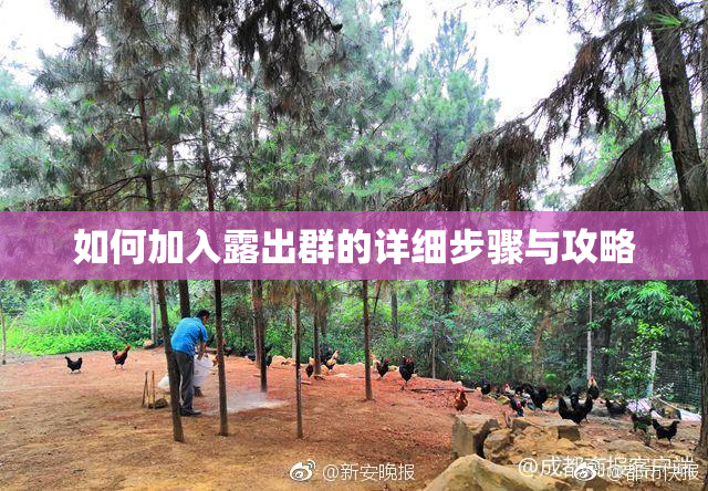 如何加入露出群的详细步骤与攻略