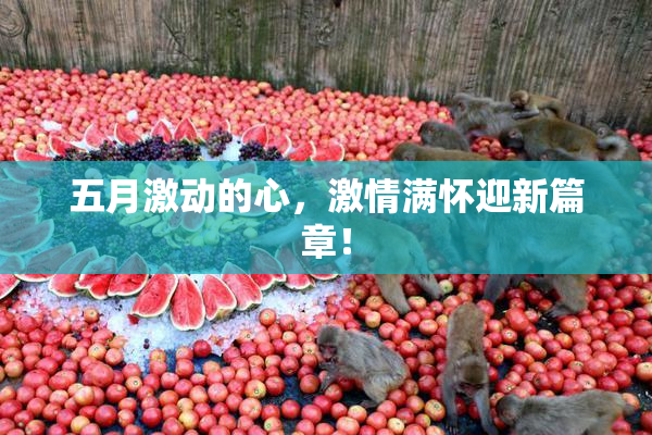 五月激动的心，激情满怀迎新篇章！