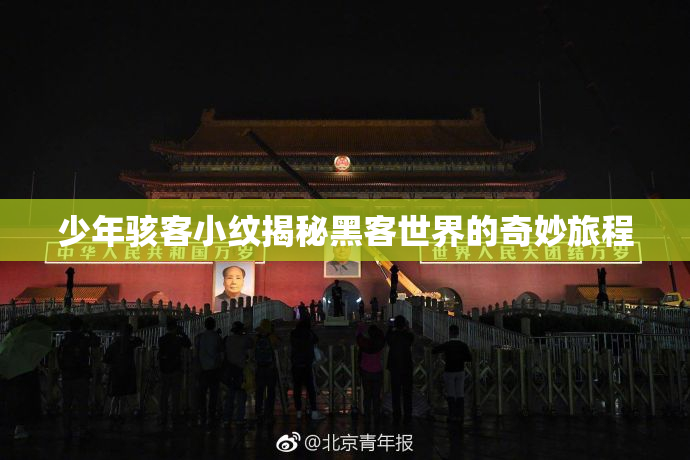 少年骇客小纹揭秘黑客世界的奇妙旅程