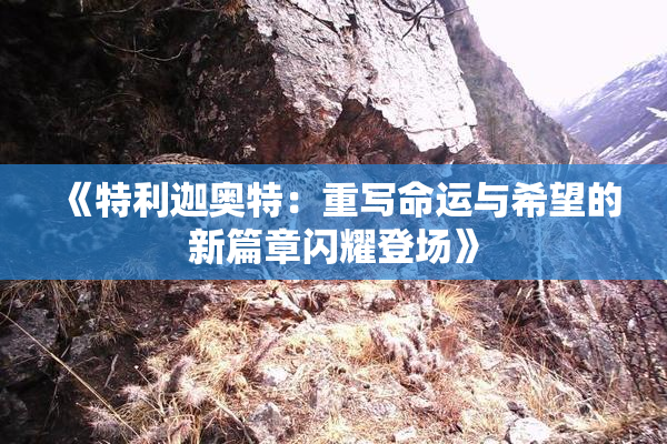 《特利迦奥特：重写命运与希望的新篇章闪耀登场》