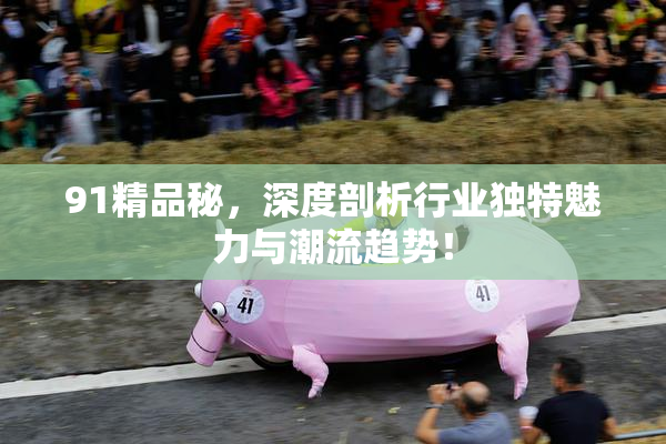 91精品秘，深度剖析行业独特魅力与潮流趋势！
