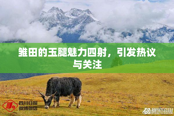 雏田的玉腿魅力四射，引发热议与关注