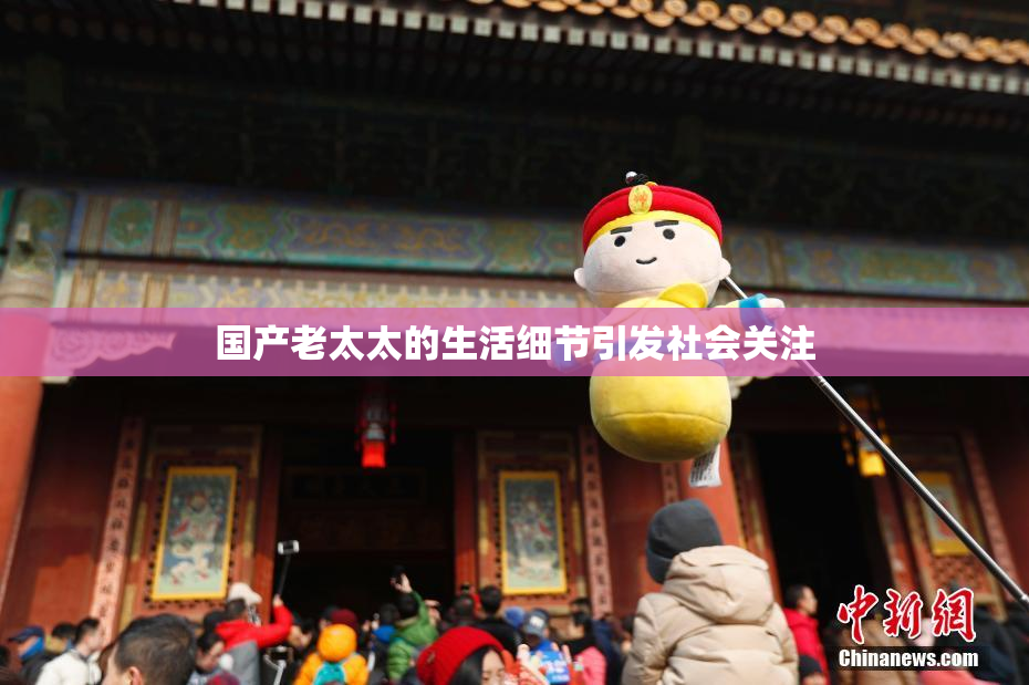 国产老太太的生活细节引发社会关注