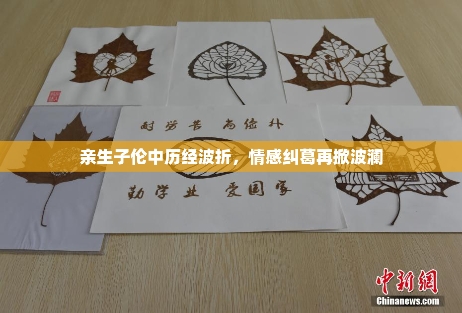 亲生子伦中历经波折，情感纠葛再掀波澜
