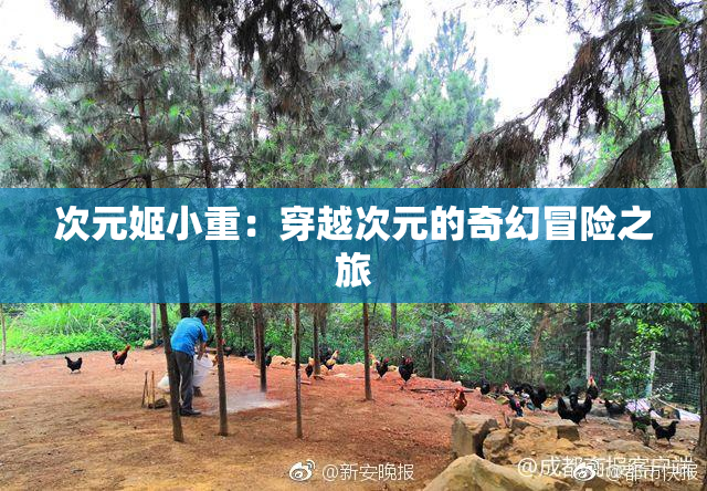 次元姬小重：穿越次元的奇幻冒险之旅