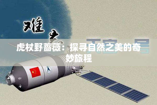 虎杖野蔷薇：探寻自然之美的奇妙旅程