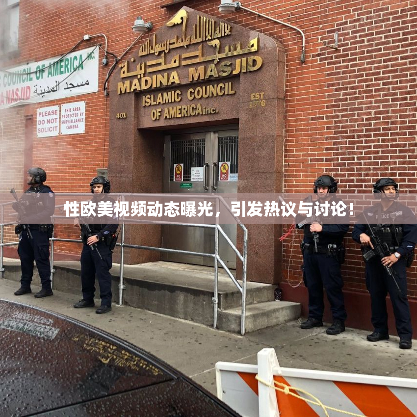 性欧美视频动态曝光，引发热议与讨论！