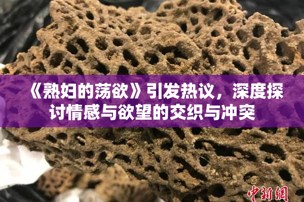 《熟妇的荡欲》引发热议，深度探讨情感与欲望的交织与冲突