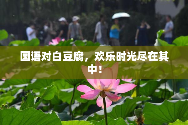 国语对白豆腐，欢乐时光尽在其中！