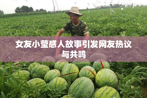 女友小莹感人故事引发网友热议与共鸣