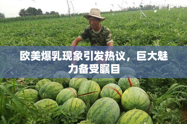 欧美爆乳现象引发热议，巨大魅力备受瞩目
