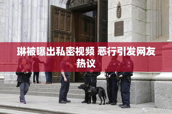 琳被曝出私密视频 恶行引发网友热议
