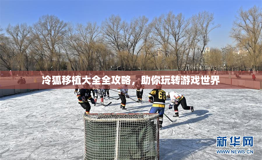 冷狐移植大全全攻略，助你玩转游戏世界