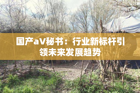 国产aV秘书：行业新标杆引领未来发展趋势
