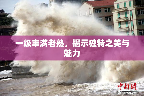 一级丰满老熟，揭示独特之美与魅力