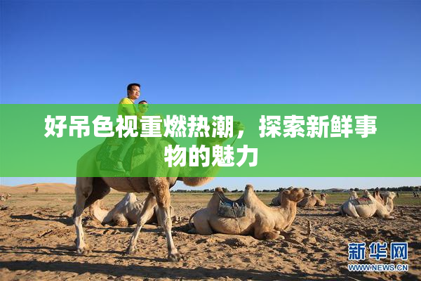 好吊色视重燃热潮，探索新鲜事物的魅力