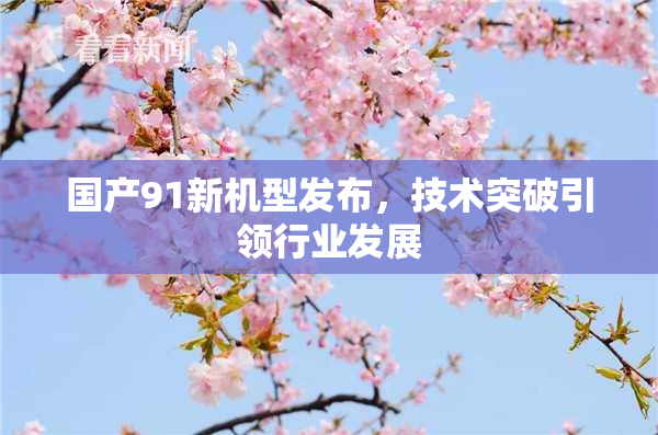 国产91新机型发布，技术突破引领行业发展