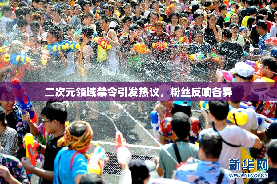 二次元领域禁令引发热议，粉丝反响各异