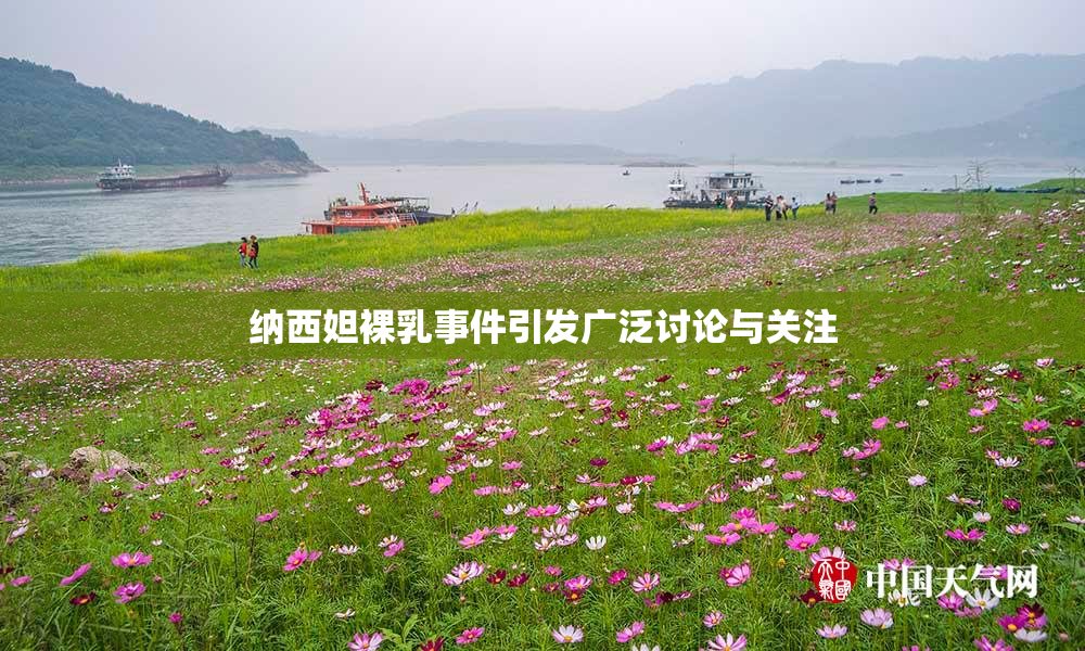 纳西妲裸乳事件引发广泛讨论与关注
