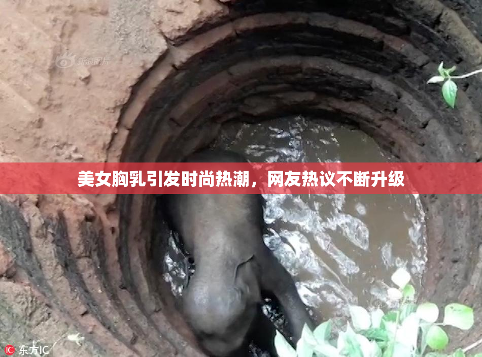 美女胸乳引发时尚热潮，网友热议不断升级