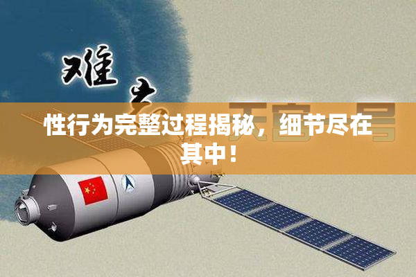 性行为完整过程揭秘，细节尽在其中！