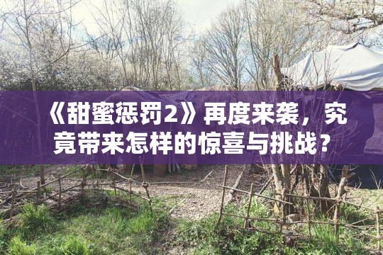 《甜蜜惩罚2》再度来袭，究竟带来怎样的惊喜与挑战？