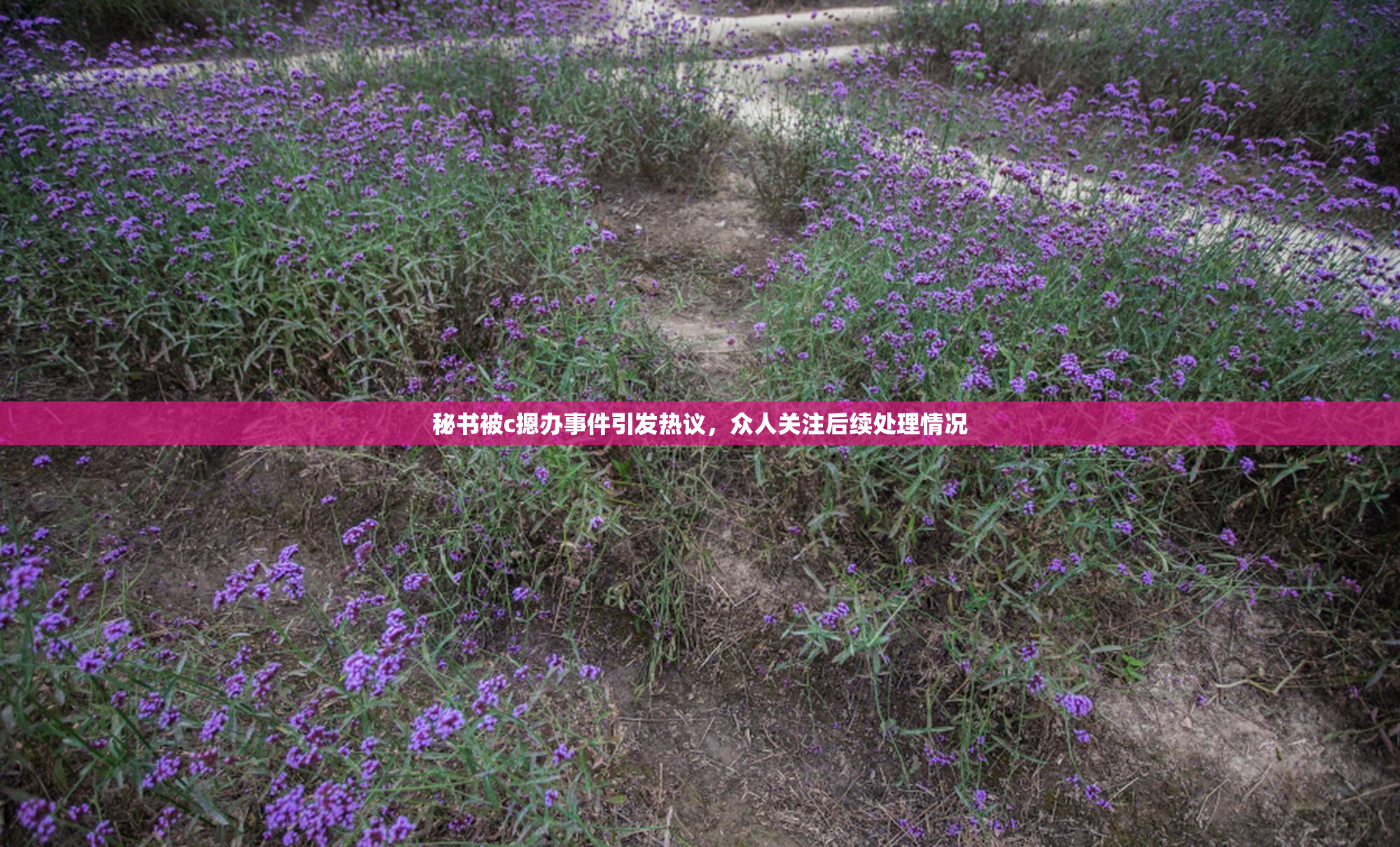 秘书被c摁办事件引发热议，众人关注后续处理情况