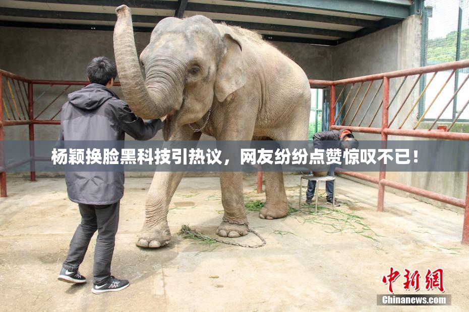 杨颖换脸黑科技引热议，网友纷纷点赞惊叹不已！
