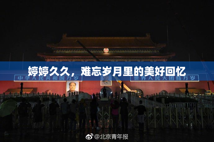 婷婷久久，难忘岁月里的美好回忆
