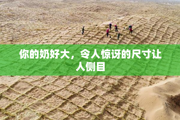 你的奶好大，令人惊讶的尺寸让人侧目