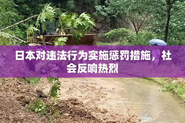 日本对违法行为实施惩罚措施，社会反响热烈